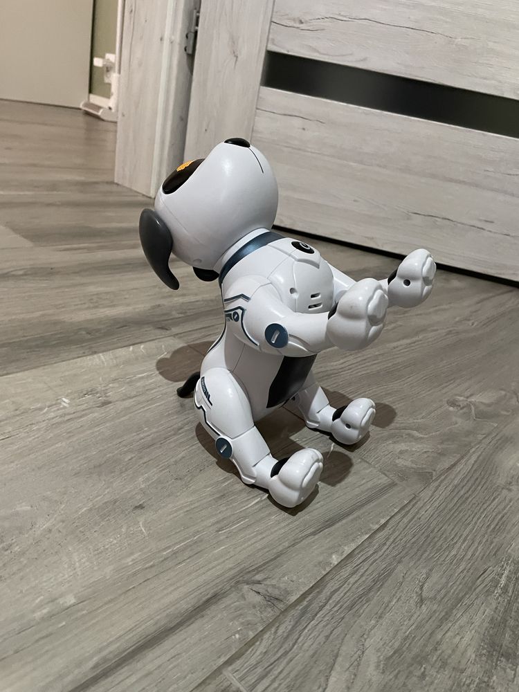 Interaktwny pies robot