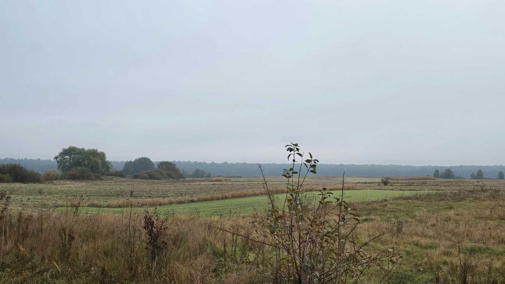 Продам ділянку в  селі Лаврівка 9052