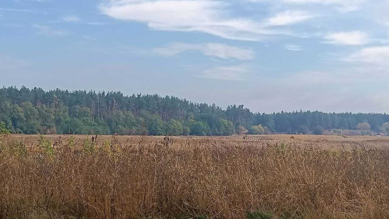 Продажа ділянки на околиці лісу