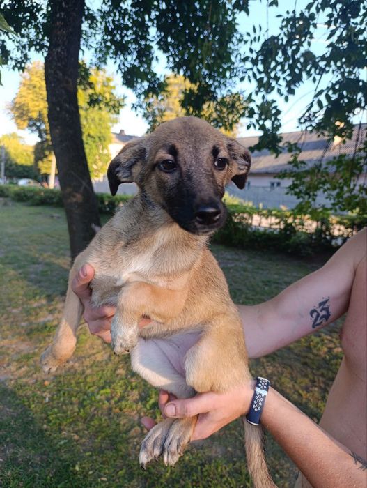 Малюки в родини!