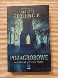 Maciej Zdzienicki, Pozagrobowe. Nawiedzone miejsca w Polsce