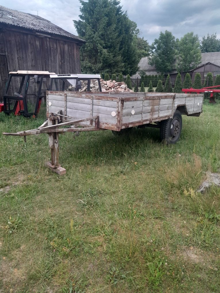 Likwidacjia 5.5.9.0 z gruby materiał polecam