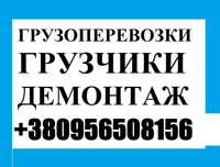 Професійні Вантажні Перевезення в Броварах та Київській Області