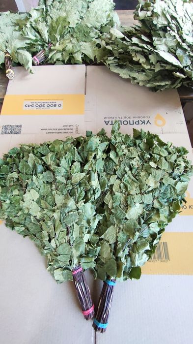 Віники для бані(лазні)+ Віники з лікарських трав (10 видів)