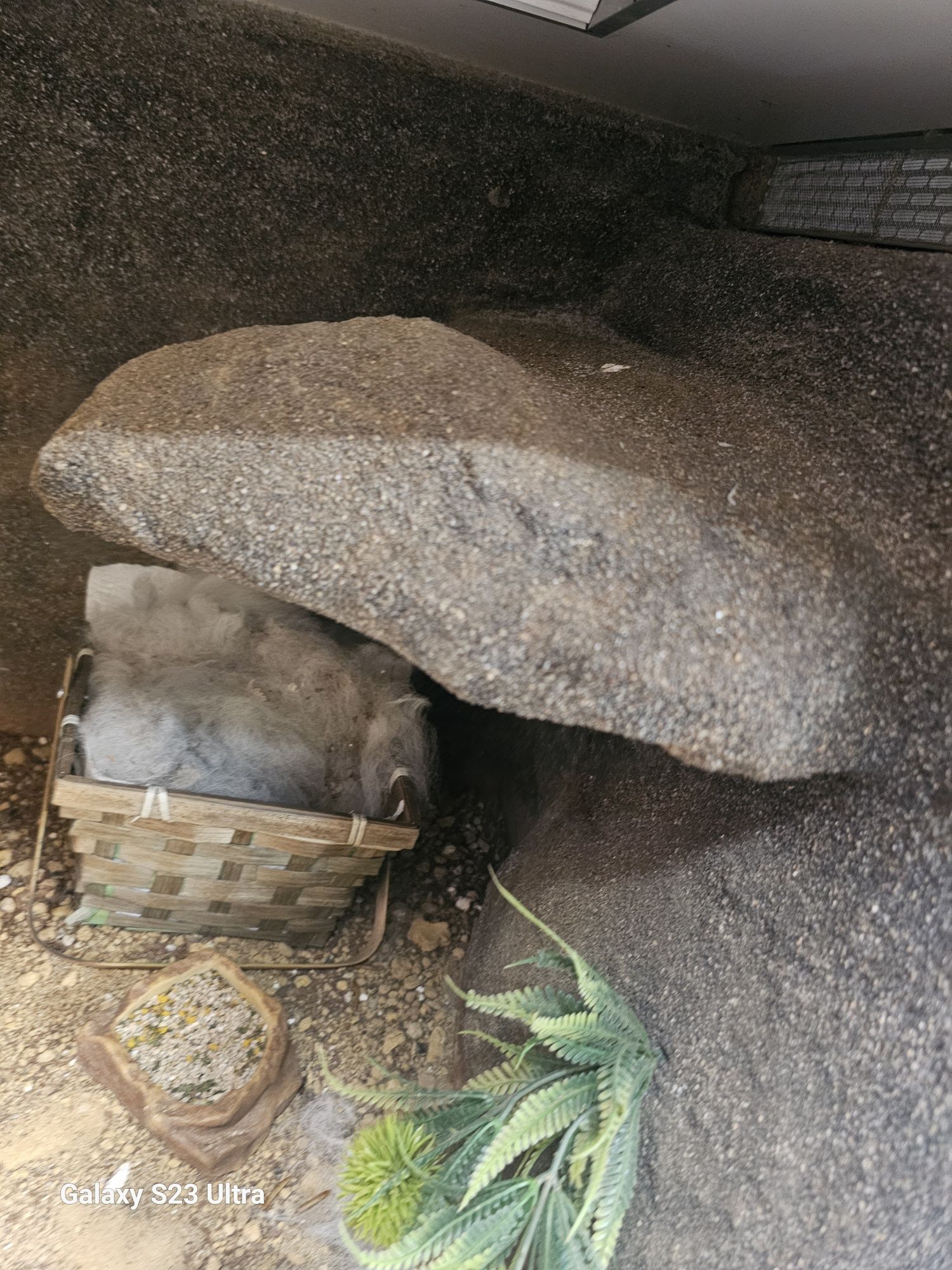 Terarium  dla gadów