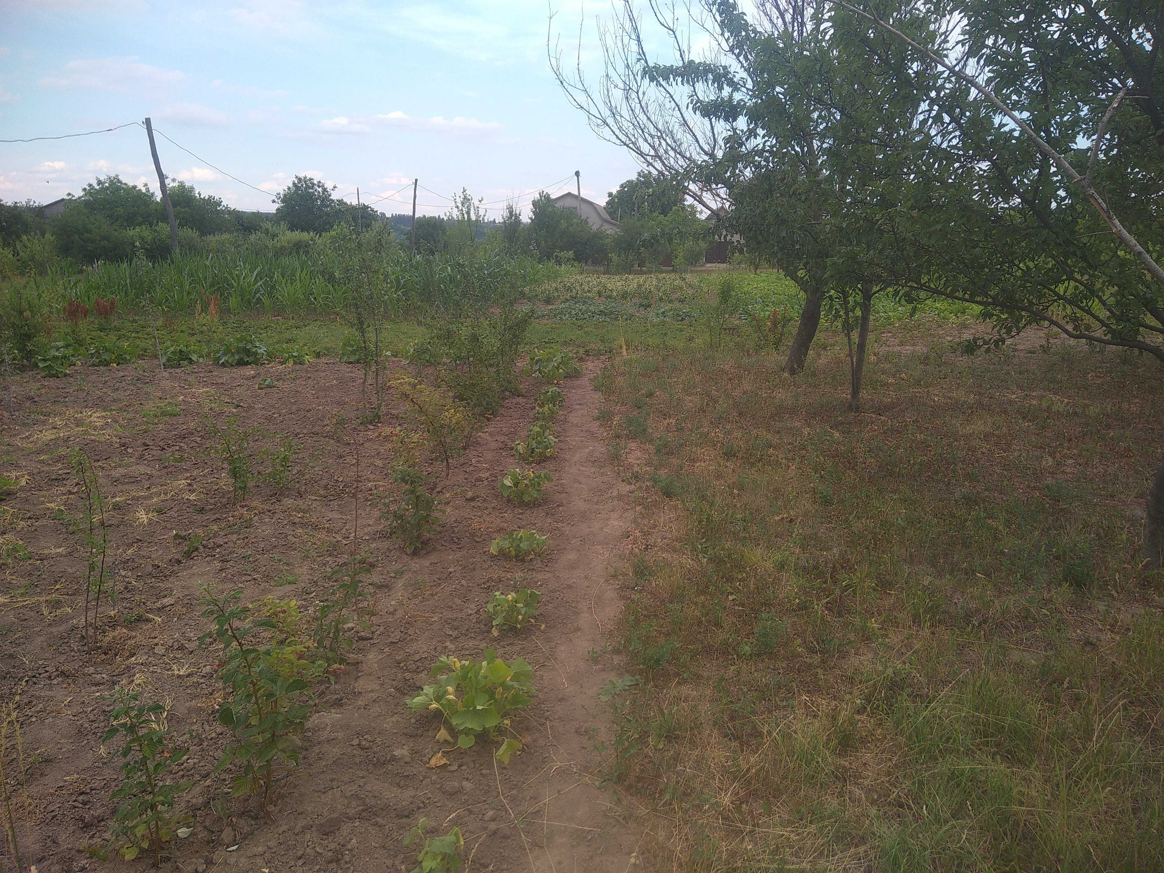 Участок (земельна ділянка)під забудову,кадастровий номер,план