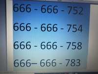 Złoty numer  666 666 XXX