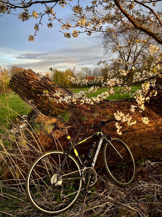 Rower  LAPIRRE Sensium 500