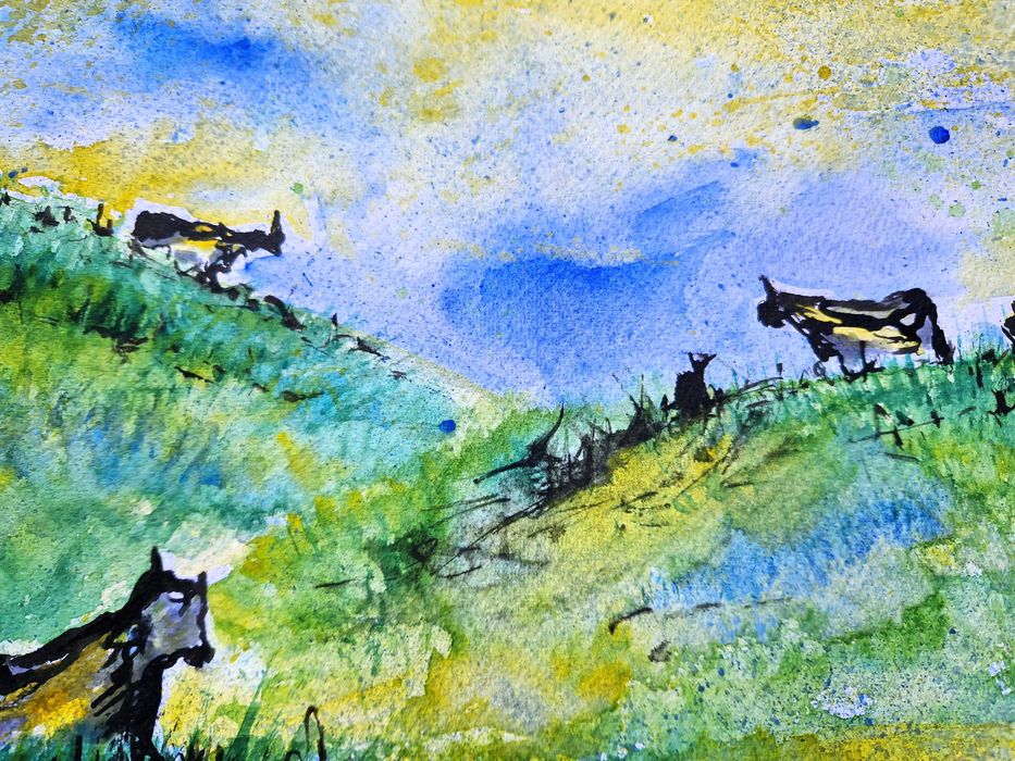 "KROWY" - obraz akwarelowy akwarela - wymiar 50x70cm - z ramą 64x94cm