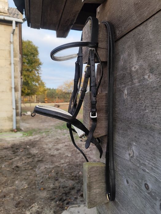 Ogłowia pony, cob i full