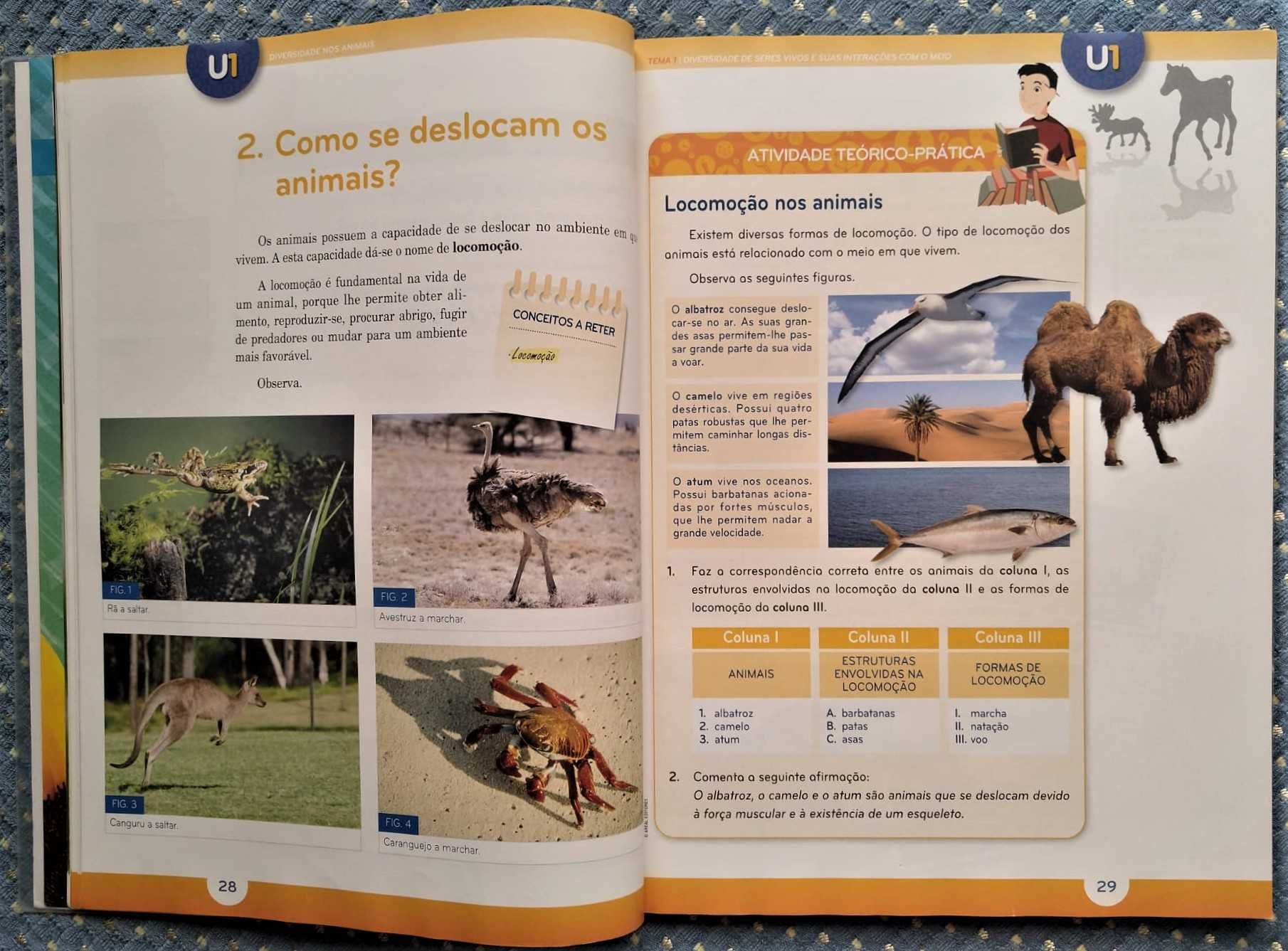 "Natura 5 Ciências da Natureza 5º Ano" Manual: Partes 1 & 2 - Ótimos!