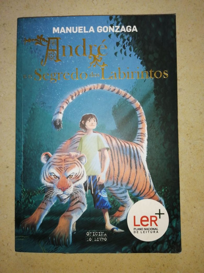 Livro André e o Segredo dos Labirintos