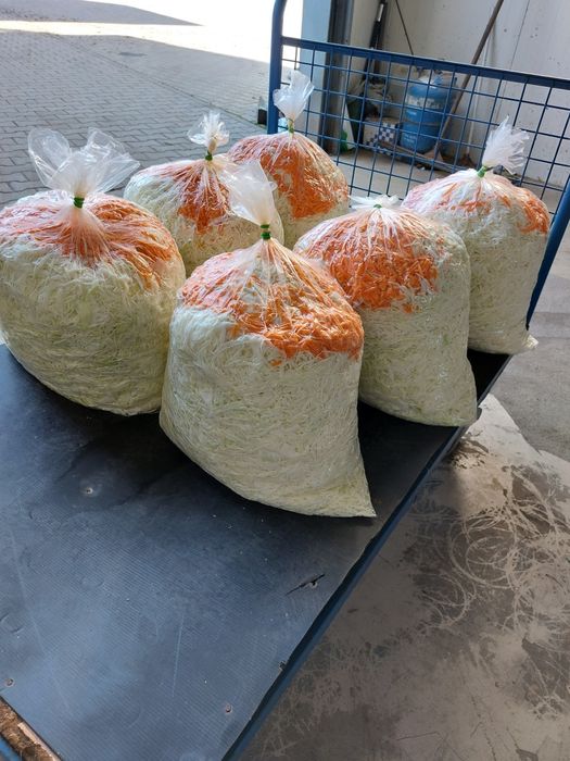 Kapusta do kiszenia 10kg