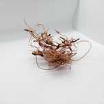 Curly moss korzonki suche do terrarium dekoracja 25g