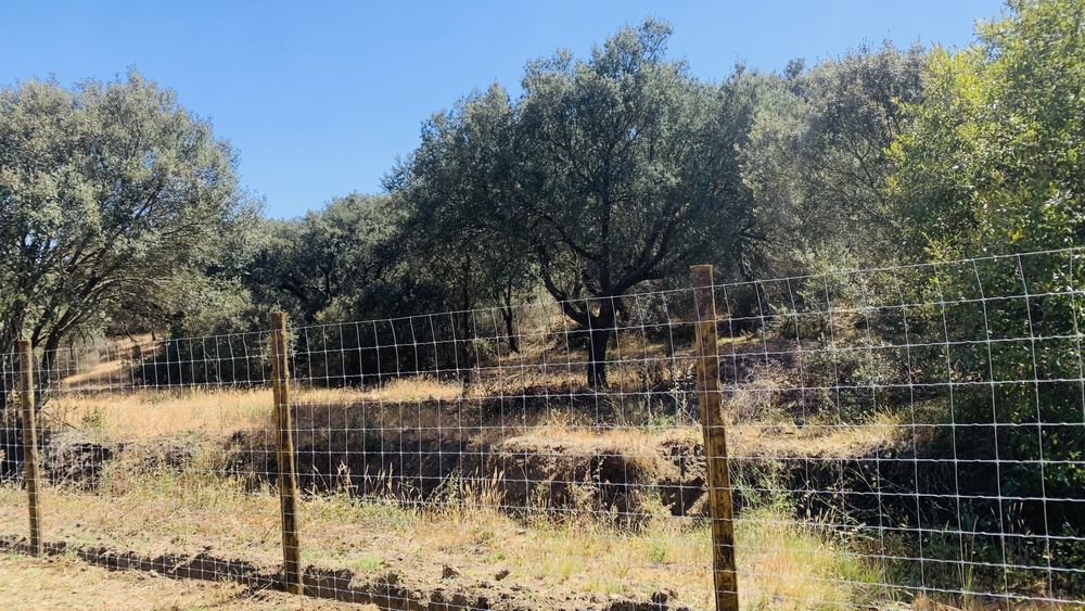 Vedação, Vedações, Cercas & Portão