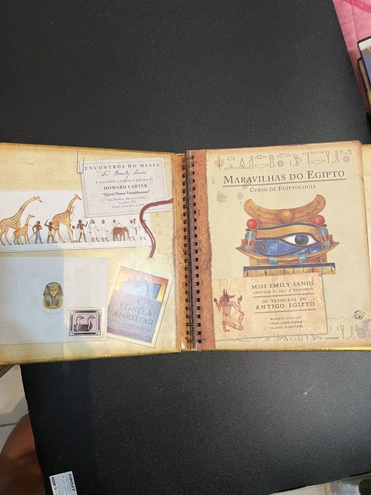Lote de livros variados