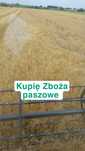 Zboże paszowe jęczmień pszenżyto pszenica