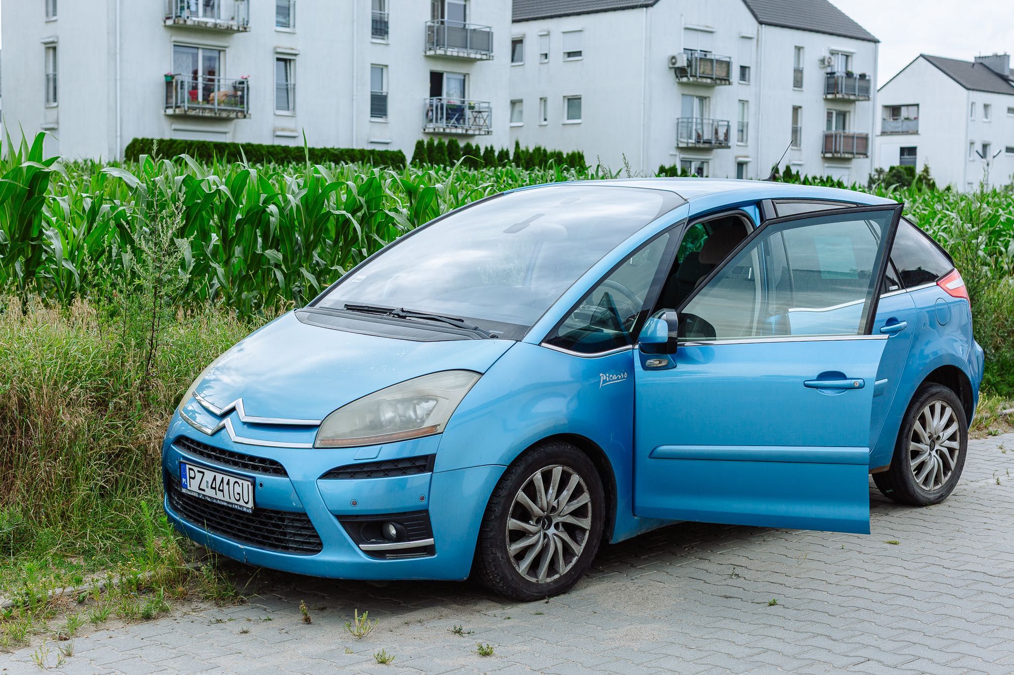 Citroen C4 Picasso 2008 Pełny automat 2.0 HDI