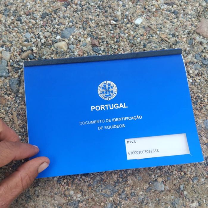 Vendo ou troco egua preta com documentos