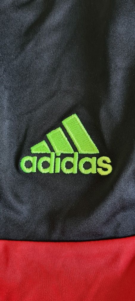 T-shirt Belgian FA Adidas