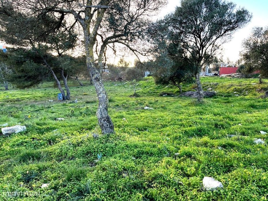 BICESSE - Excelente terreno com vista de mar e serra