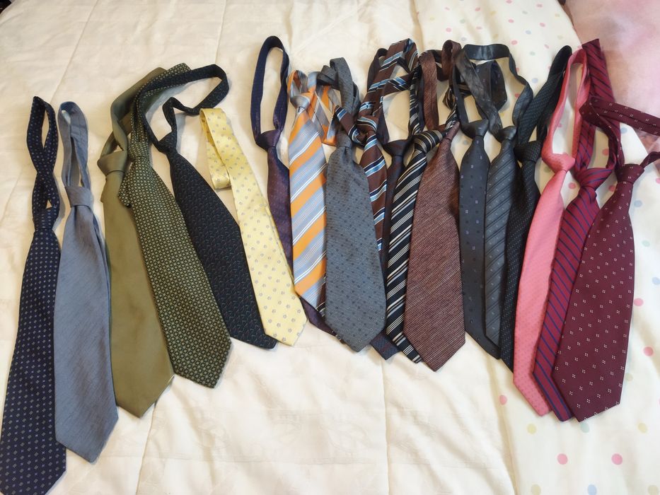 Lote de Gravatas (18)