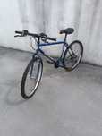 Bicicleta adulto