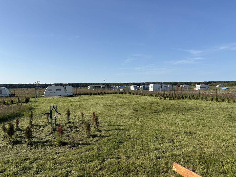 Koszenie działek - Usługi na działkach