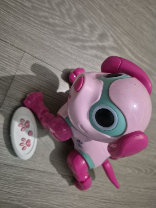 Pies Robot na pilota