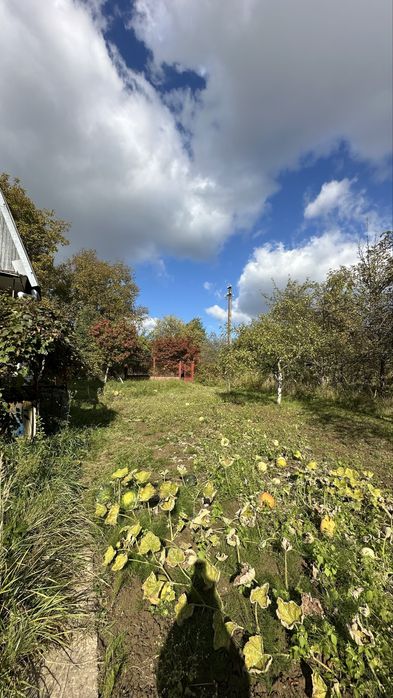 Продаж дачної ділянки з будиночком в Малих Грибовичах