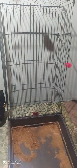 Klatka dla królika lub swinki