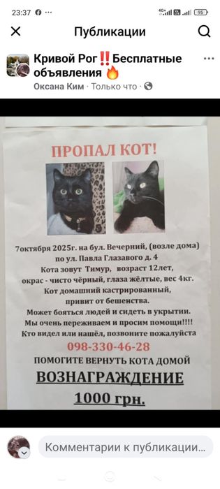 Балакина пропал кот.