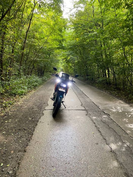 shineray x-trail 250   9a