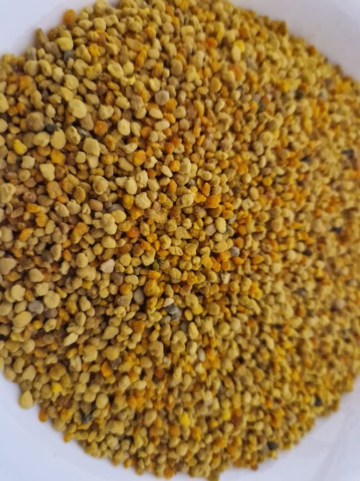 Pyłek pszczeli grube ziarna hurt