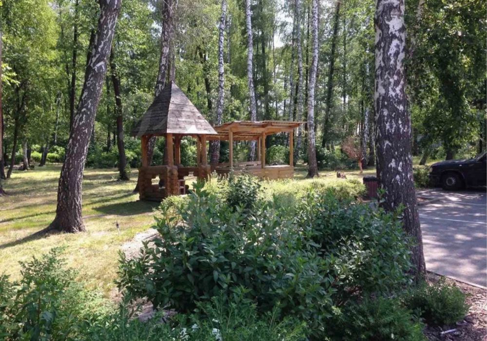 Продам земельну ділянку 10 сотих, Ліс,серед СОСЕН,с.Северинівка