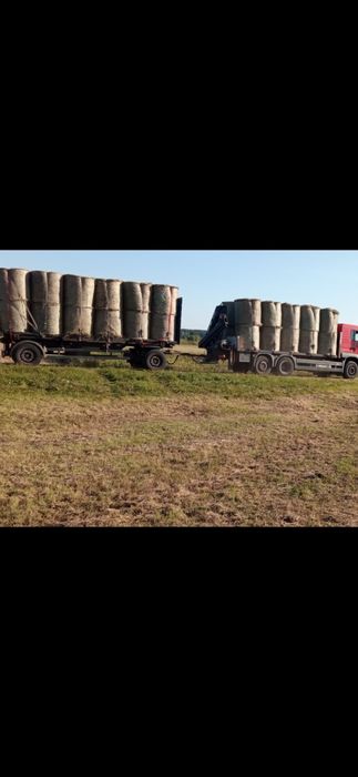 Siano naturalne pogodne bele dla koni krów I pokos 2025
