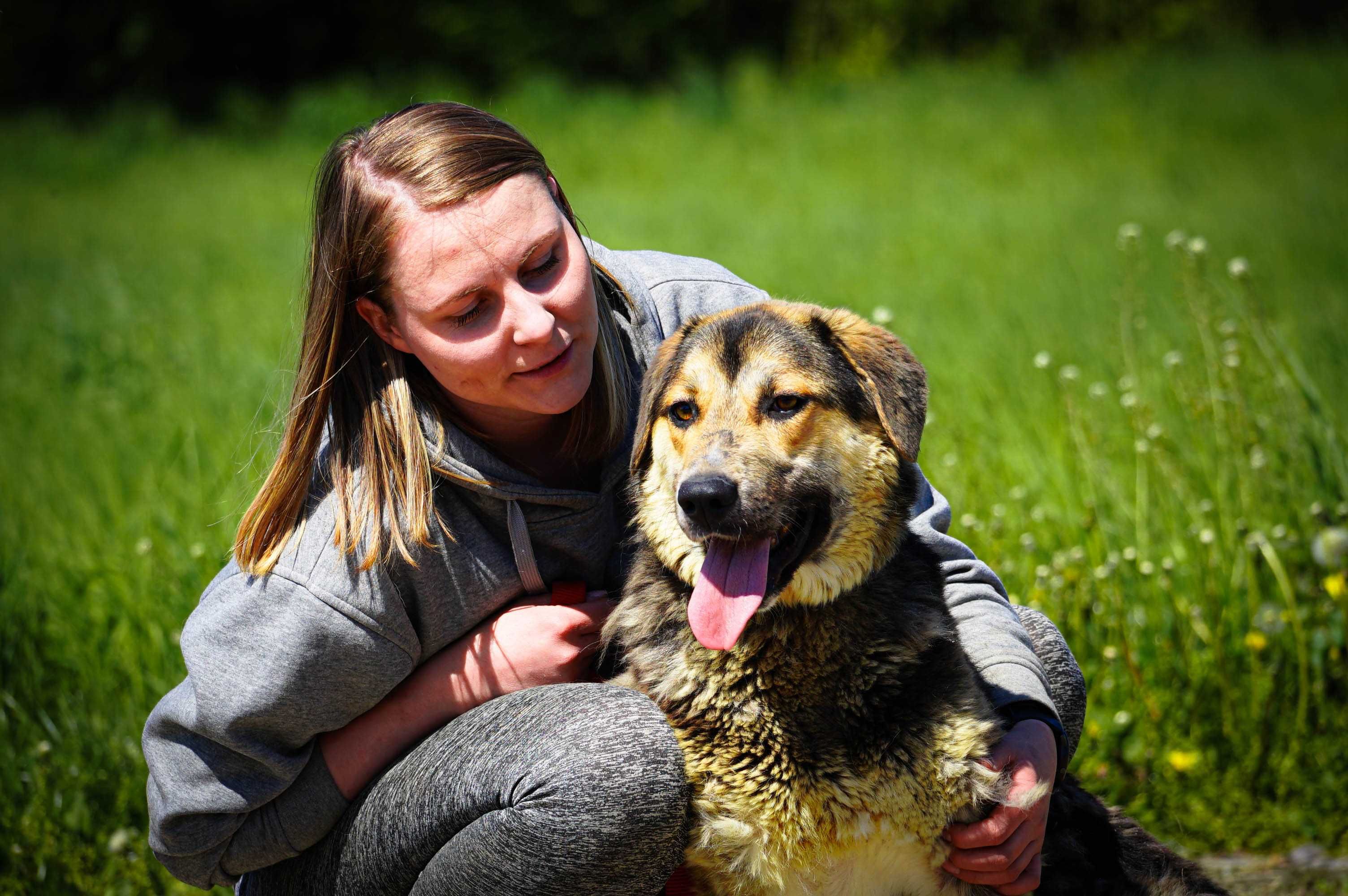 Dobosz - duży, fajny pies do adopcji
