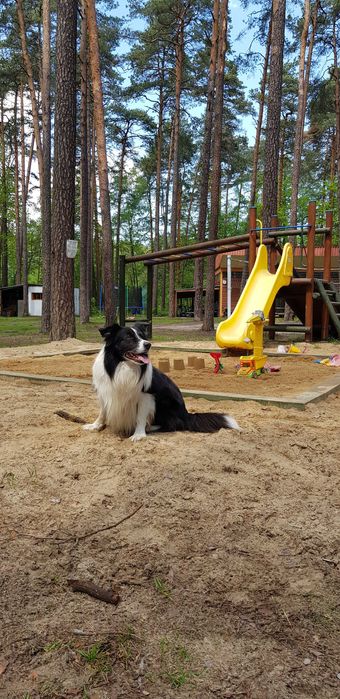 ZABAWA ANDRZEJKOWA - Noclegi w domkach całorocznych ogrzewanych