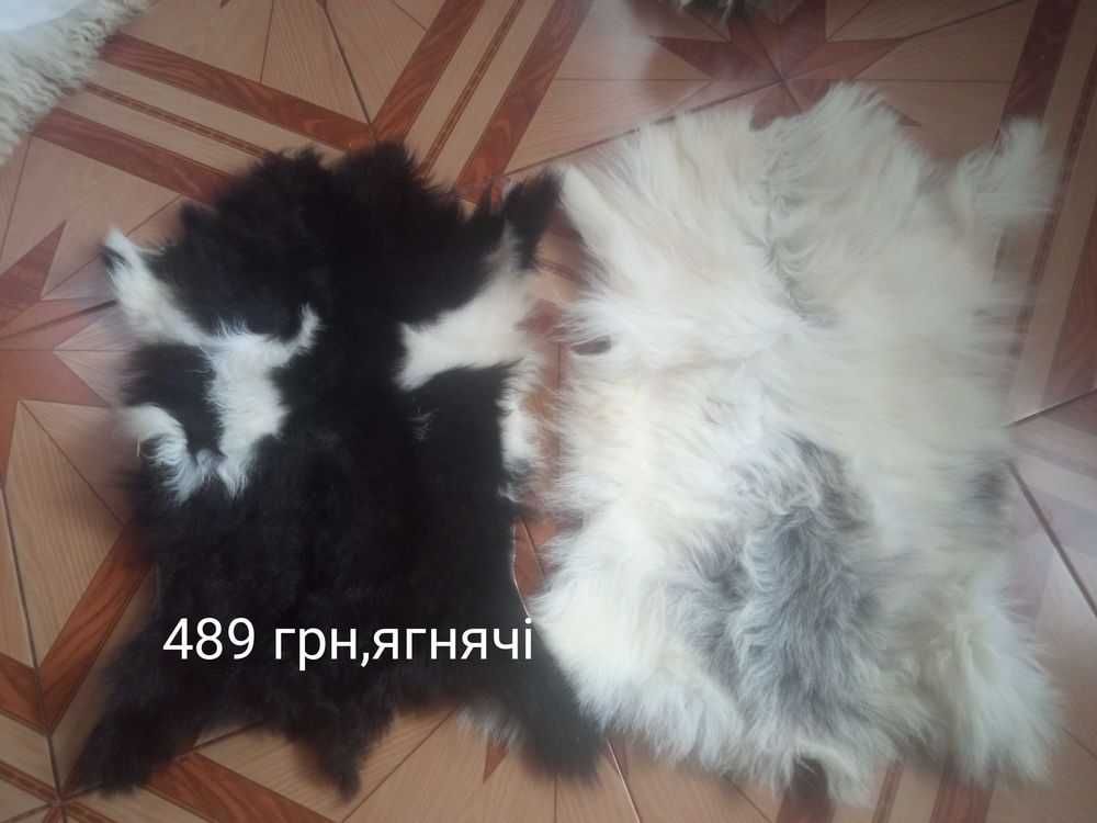 Шкури розпродаж від 250 грн овечки козячі,лисячі,самі робим