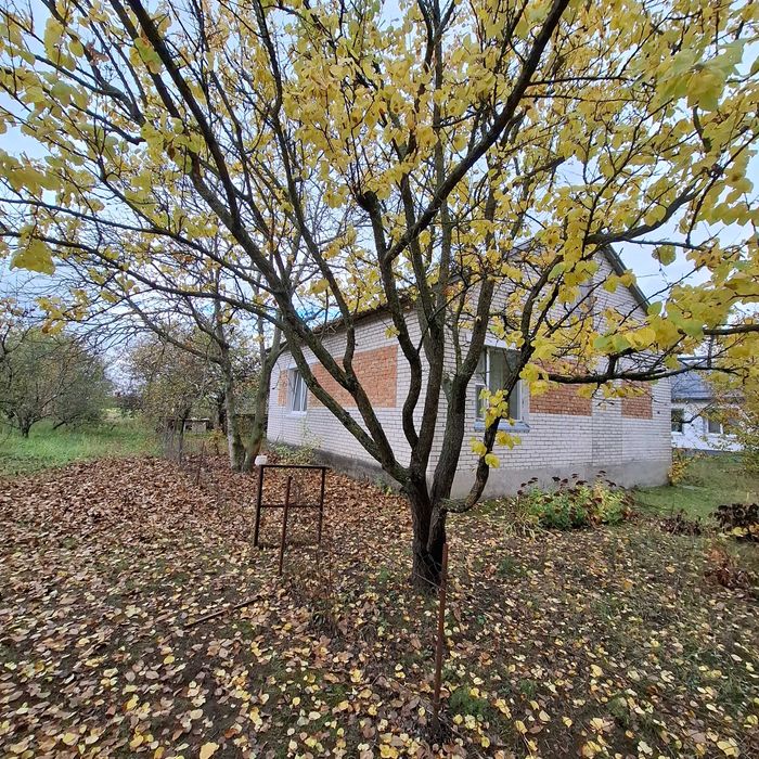 Будинок з великою територією