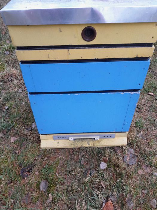 ul DADANT leżak stojak odkładowy styropianowy drewniany pokazowy