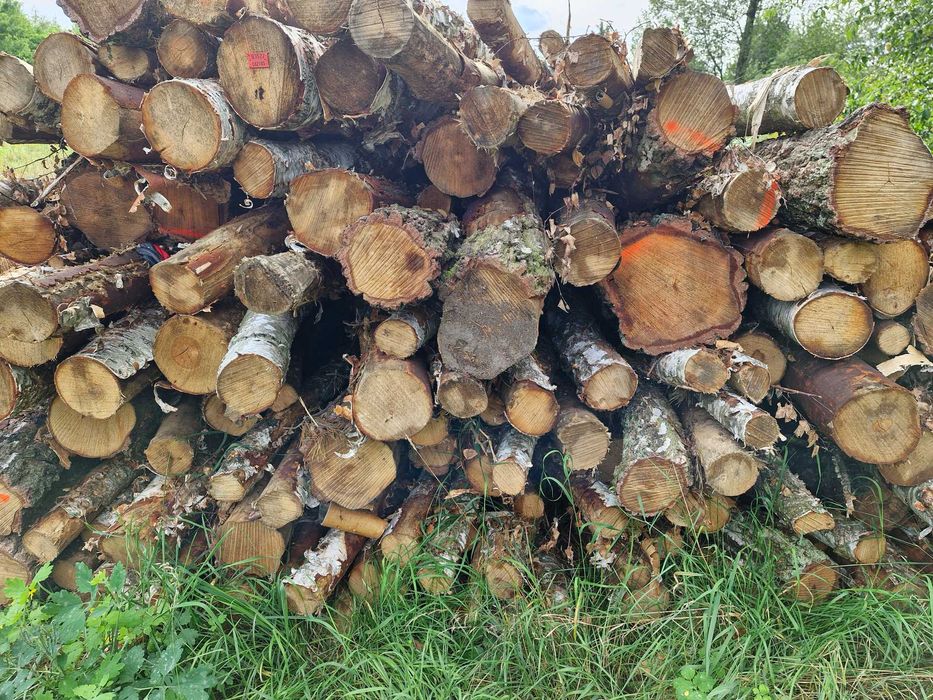 Sprzedam drewno kominkowe i opałowe