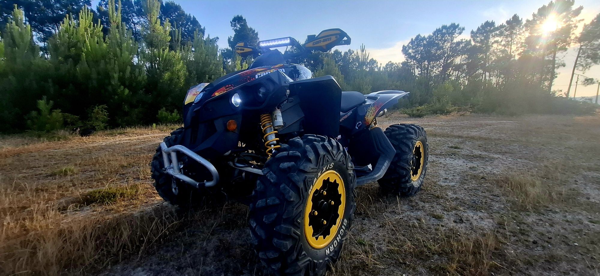 Can am 800 renegade