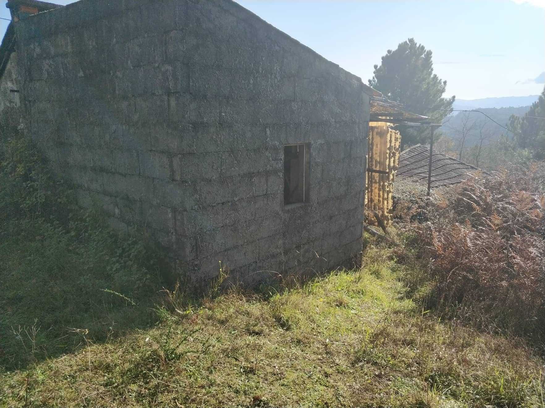 Quintinha em Baião (Grilo)