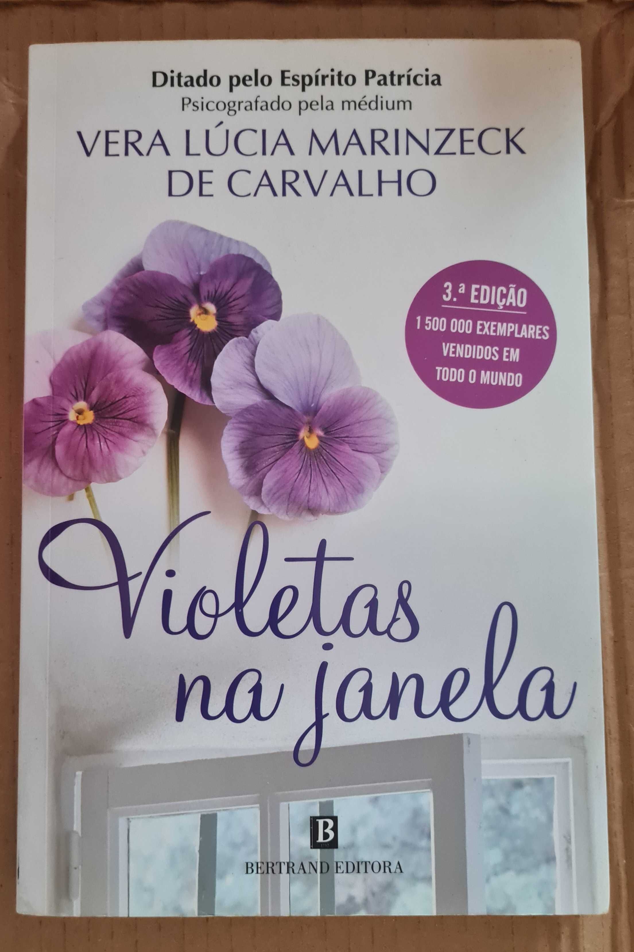 Violetas na Janela de Vera Lúcia Marinzeck de Carvalho