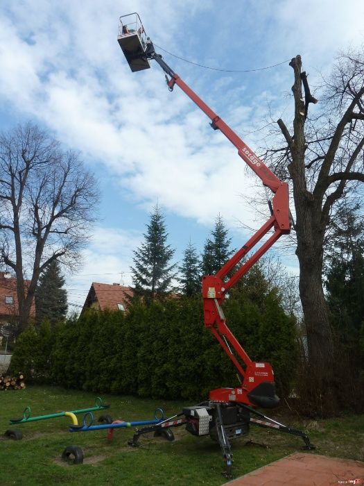 wycinka drzew za drewno, pielegnacja i  mulczowanie terenów