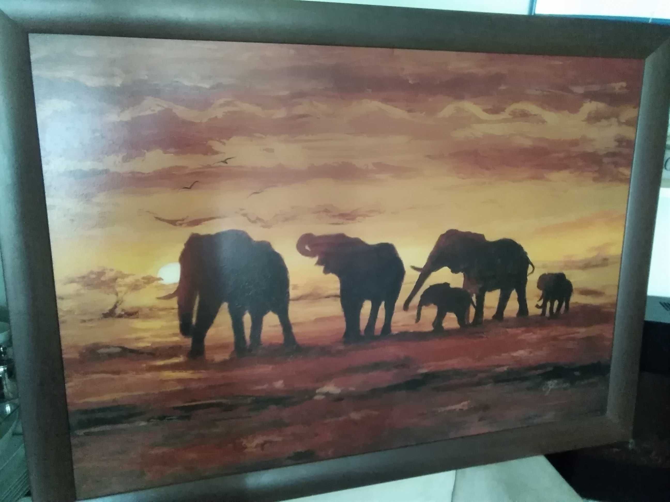 Obraz ze sloniami.