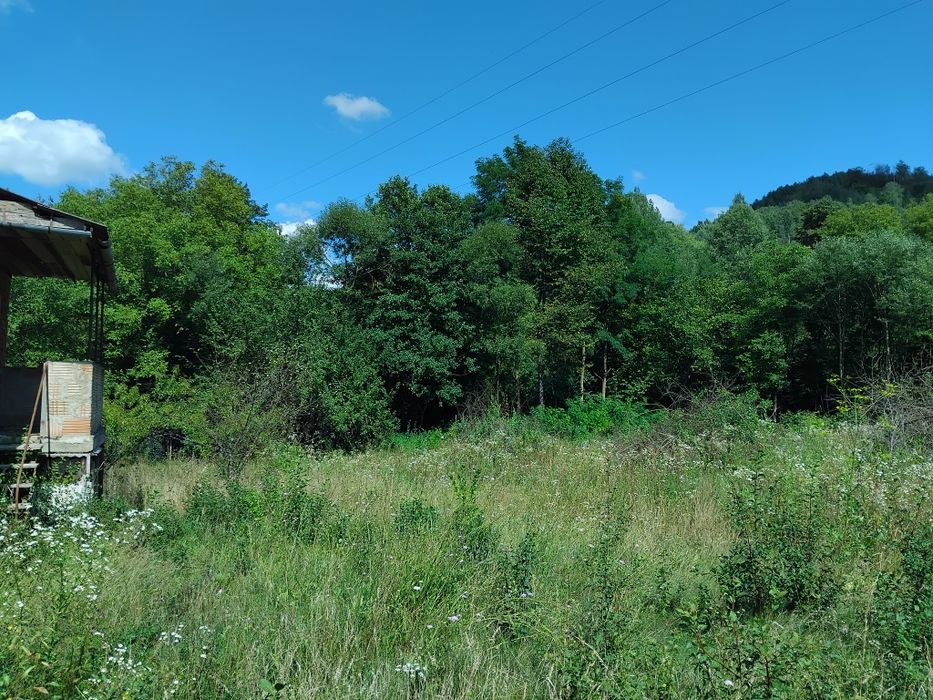 Продаю земельну ділянку Свалява Закарпатської