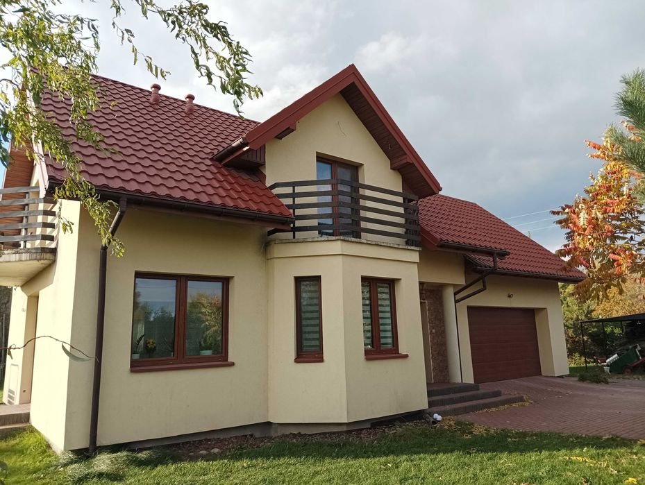 Dom jednorodzinny na wsi + hala, magazyn, pow. płocki, gm. Bodzanów