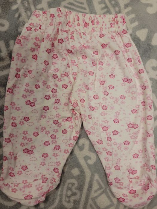 Półśpiochy rozm.62